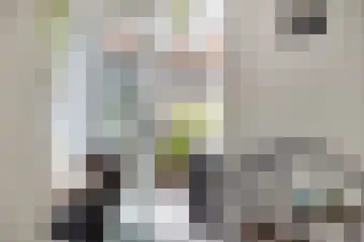 de Roerdomp 42 Denekamp thumbnail 8