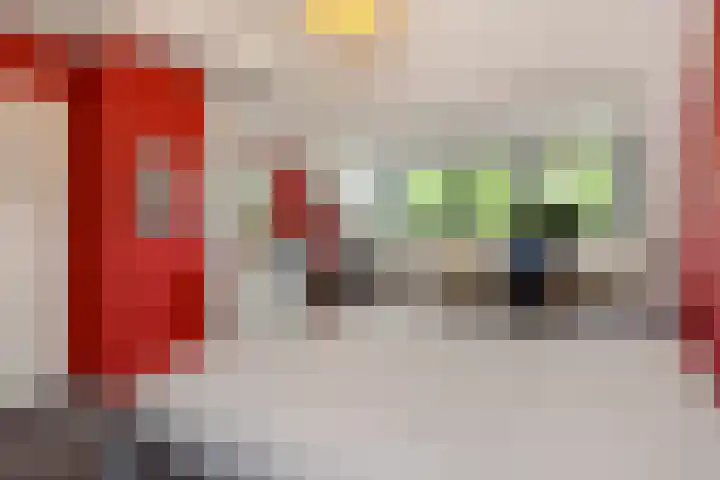 De Roerdomp 43 Sint-Michielsgestel thumbnail 32