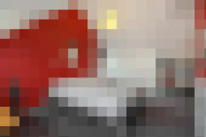 De Roerdomp 43 Sint-Michielsgestel thumbnail 33