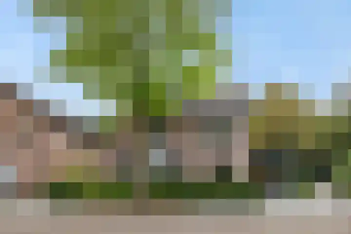 De Roerdomp 43 Sint-Michielsgestel thumbnail 43