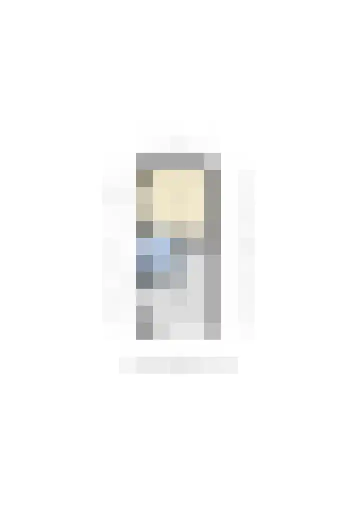 De Roerdomp 43 Sint-Michielsgestel thumbnail 52