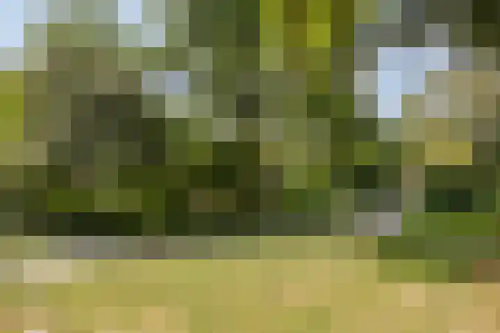 De Roerdomp 44 Purmerend thumbnail 30