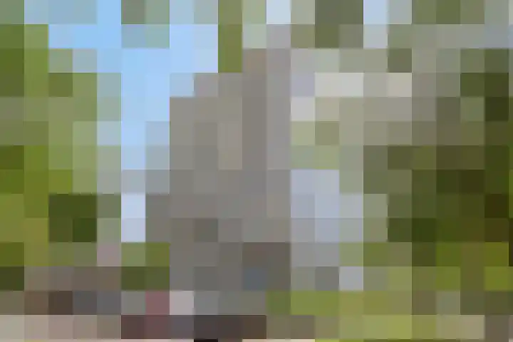 De Roerdomp 44 Purmerend thumbnail 5