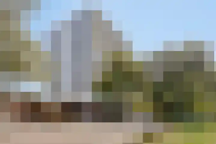 De Roerdomp 44 Purmerend thumbnail 6
