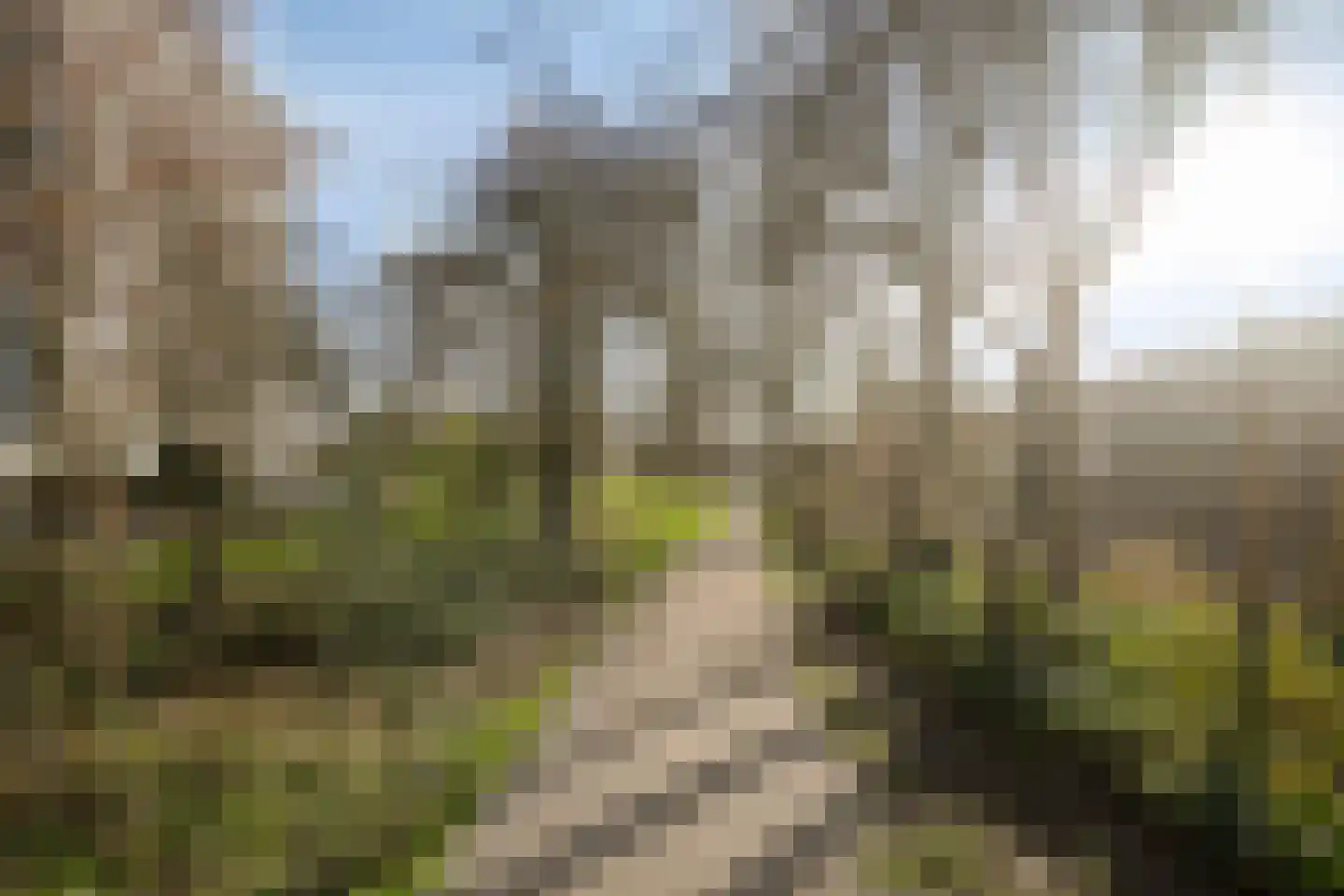 De Roerdomp 63 Purmerend thumbnail 4