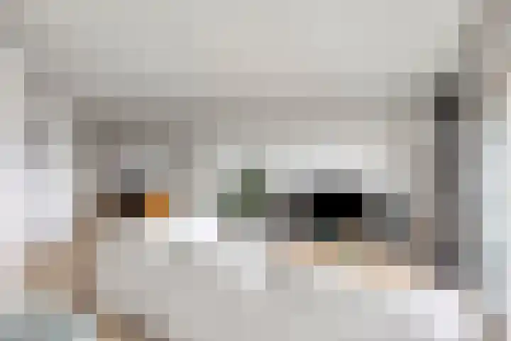 De Roerdomp 72 Purmerend thumbnail 10