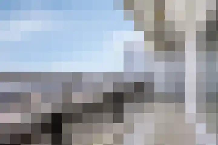 De Roerdomp 72 Purmerend thumbnail 15