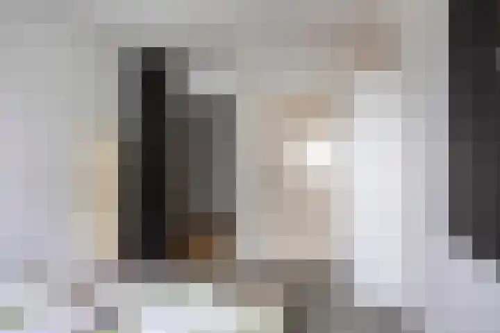 De Roerdomp 72 Purmerend thumbnail 17