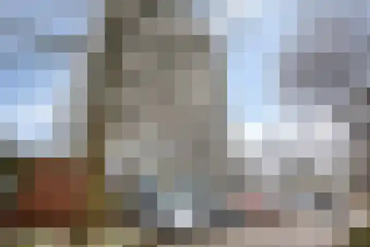 De Roerdomp 72 Purmerend thumbnail 20