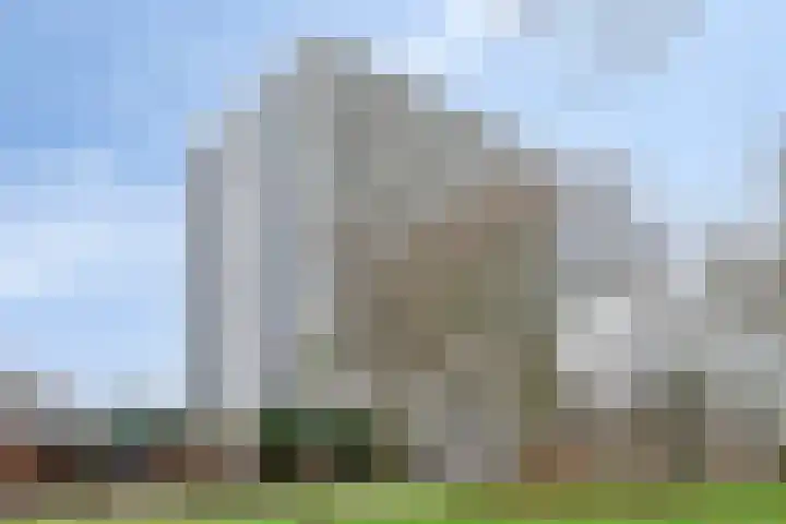 De Roerdomp 72 Purmerend thumbnail 6