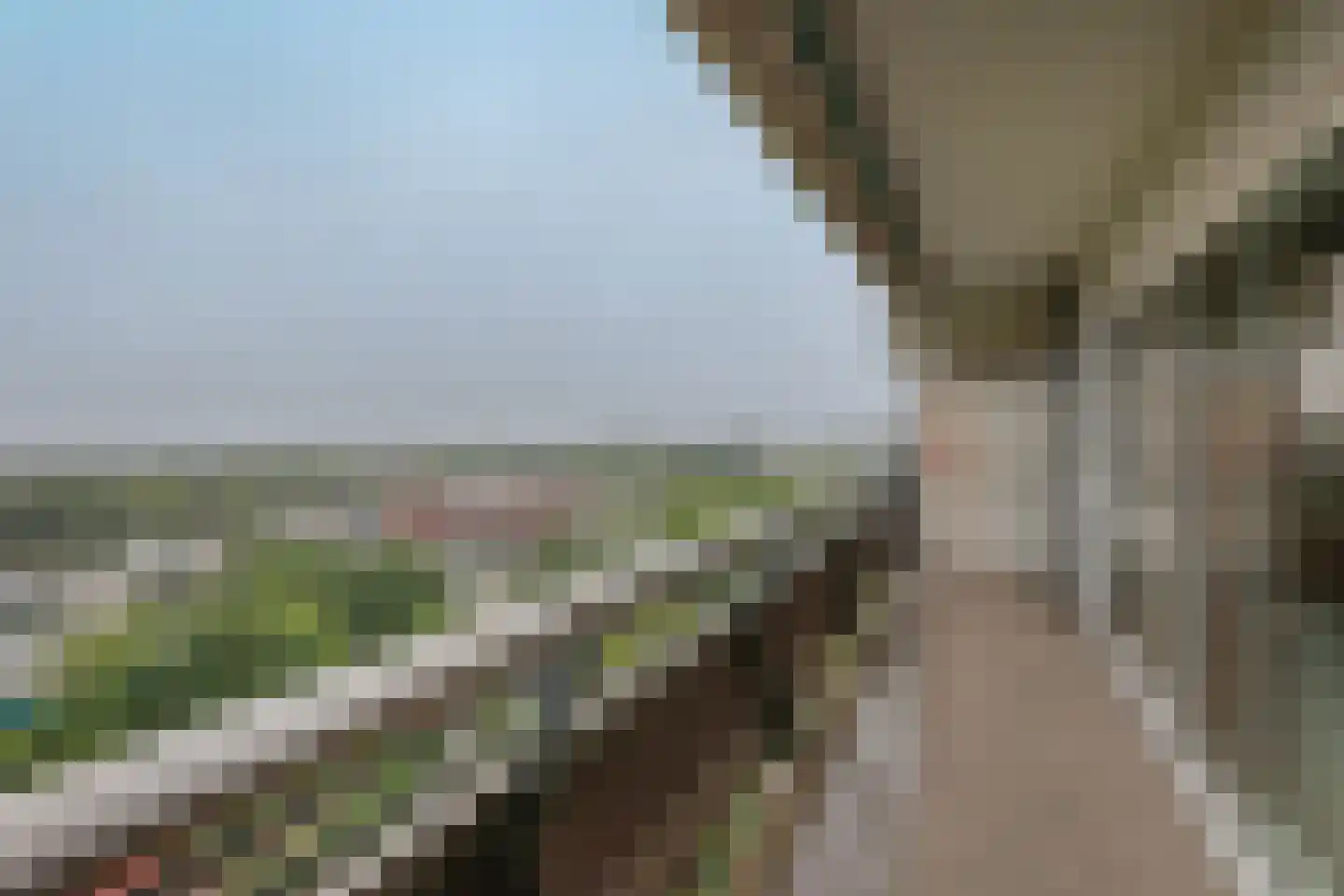 De Roerdomp 77 Purmerend thumbnail 10