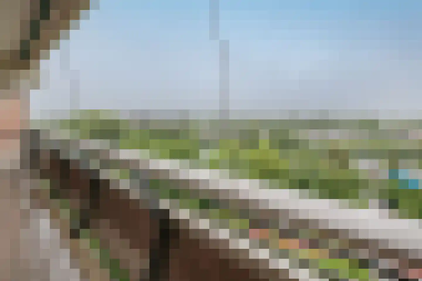 De Roerdomp 77 Purmerend thumbnail 11