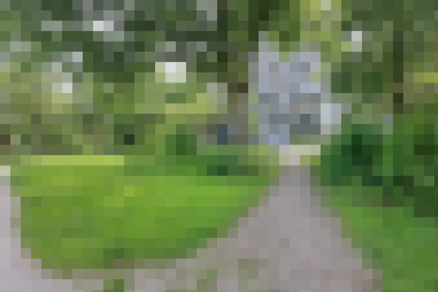 De Roerdomp 77 Purmerend thumbnail 22
