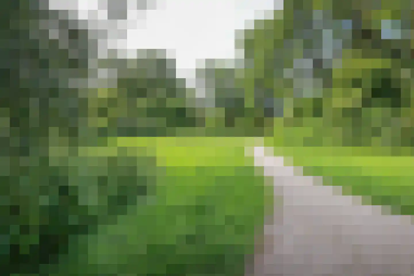 De Roerdomp 77 Purmerend thumbnail 23