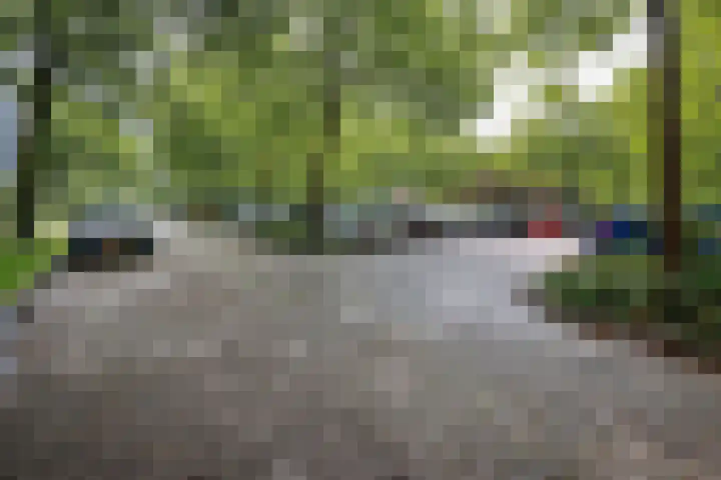 De Roerdomp 77 Purmerend thumbnail 24