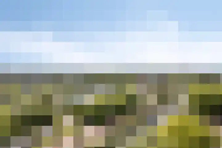 De Roerdomp 84 Purmerend thumbnail 5