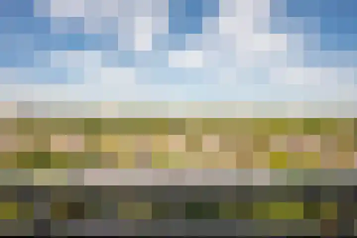 De Roerdomp 87 Purmerend