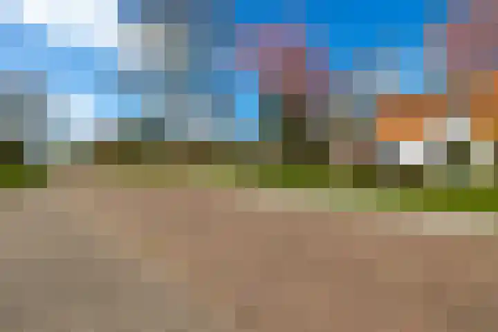 De Roerdomp 87 Purmerend thumbnail 10