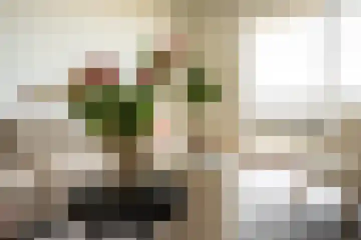 De Roerdomp 87 Purmerend thumbnail 13