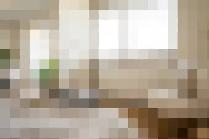 De Roerdomp 87 Purmerend thumbnail 22