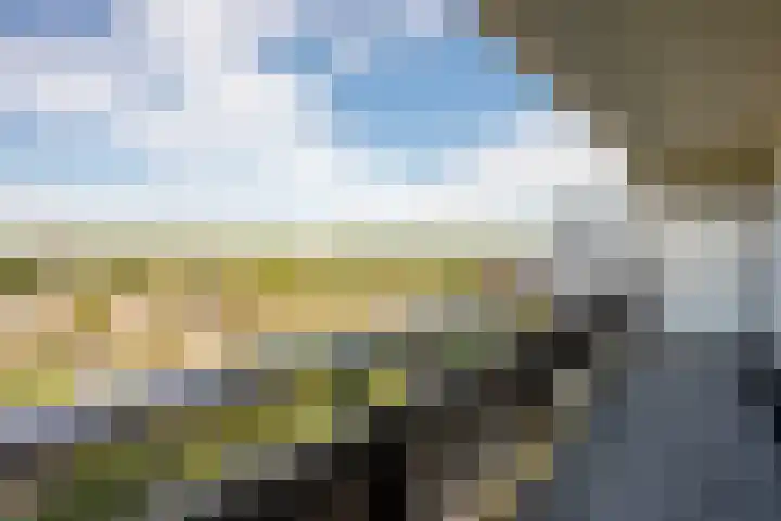 De Roerdomp 87 Purmerend thumbnail 26