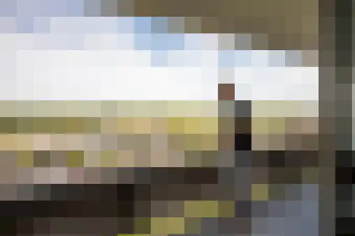 De Roerdomp 87 Purmerend thumbnail 27