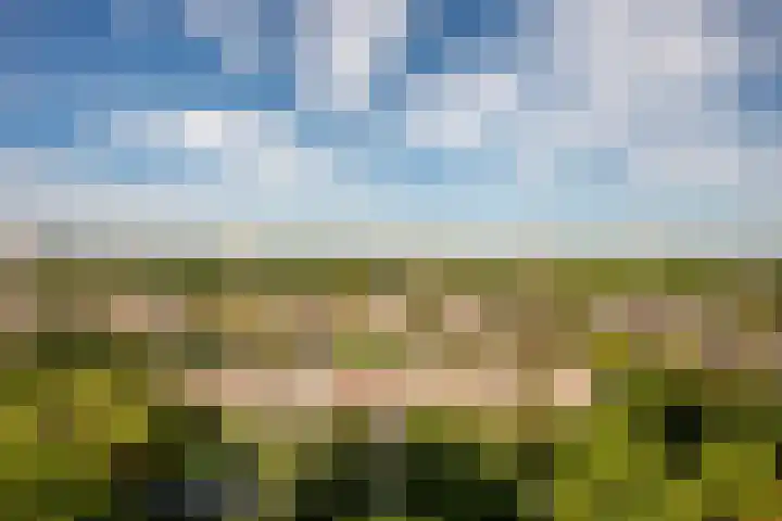 De Roerdomp 87 Purmerend thumbnail 28