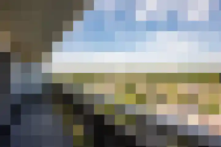 De Roerdomp 87 Purmerend thumbnail 29