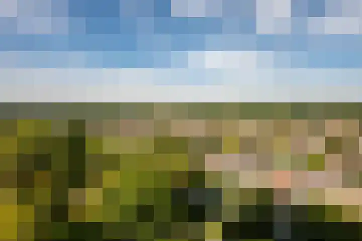 De Roerdomp 87 Purmerend thumbnail 30