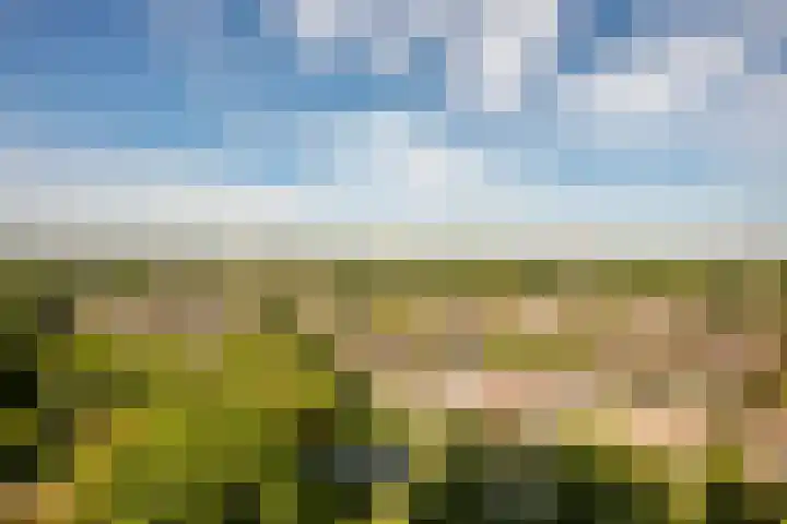 De Roerdomp 87 Purmerend thumbnail 31