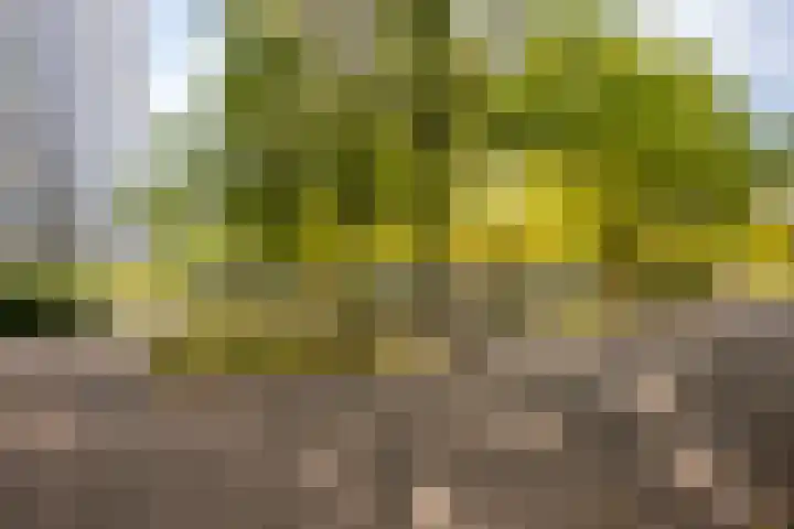 De Roerdomp 87 Purmerend thumbnail 36