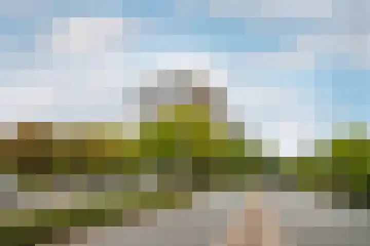 De Roerdomp 87 Purmerend thumbnail 37