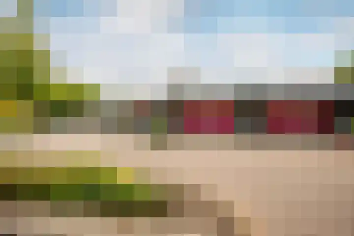 De Roerdomp 87 Purmerend thumbnail 38