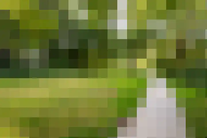 De Roerdomp 87 Purmerend thumbnail 39