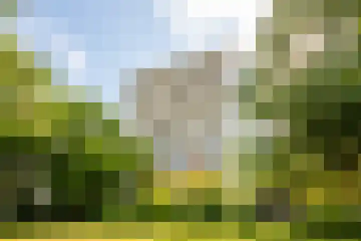 De Roerdomp 87 Purmerend thumbnail 4