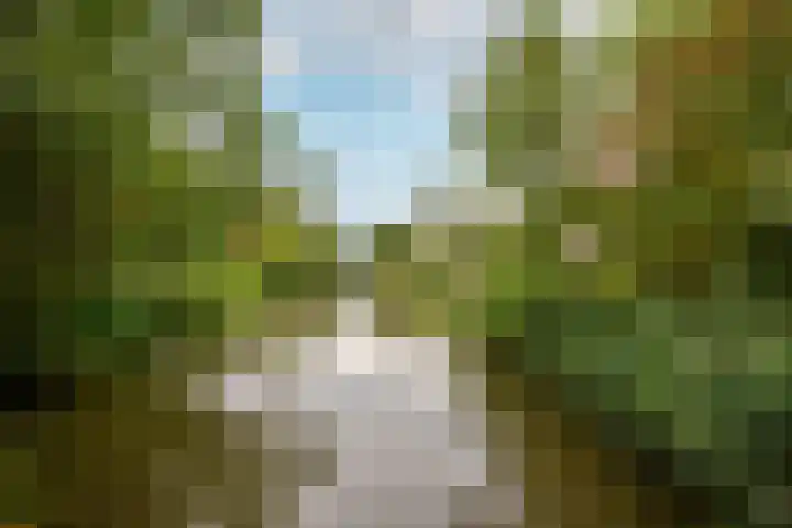 De Roerdomp 87 Purmerend thumbnail 40