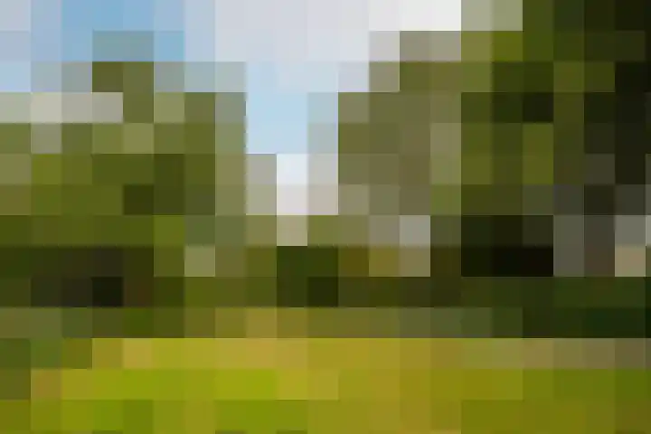 De Roerdomp 87 Purmerend thumbnail 41