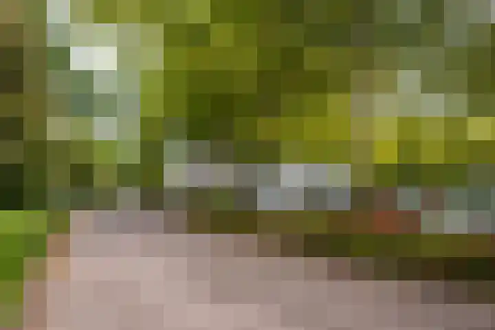 De Roerdomp 87 Purmerend thumbnail 42