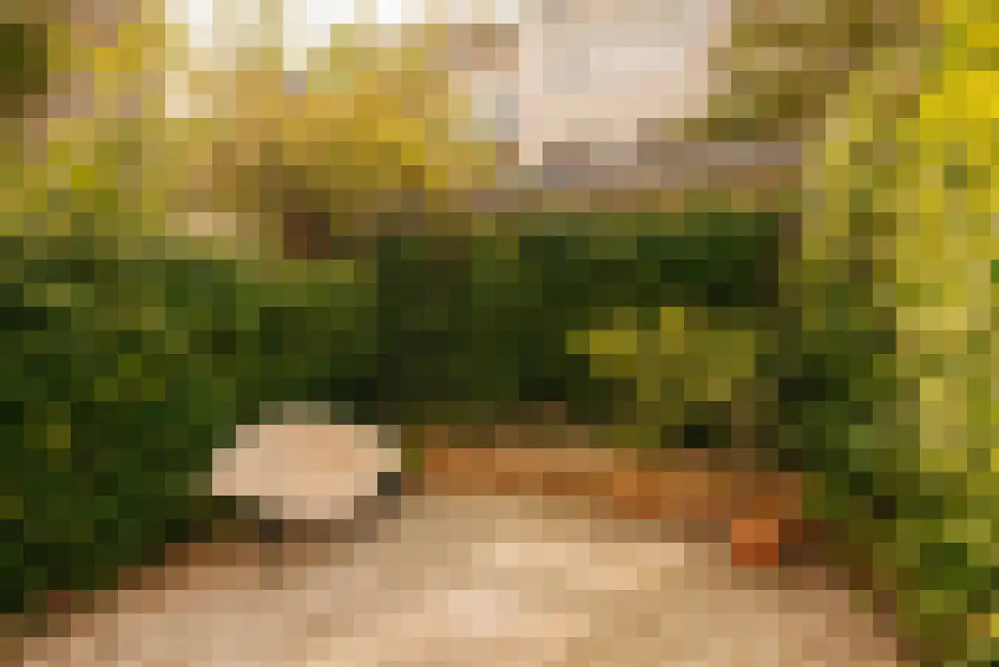 De Roerdomp 87 Purmerend thumbnail 6