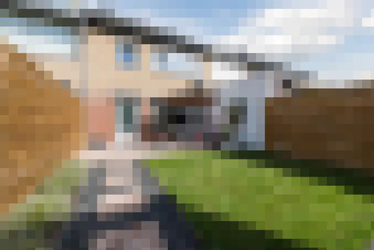 De Roerenmaker 45 Veldhoven thumbnail 37