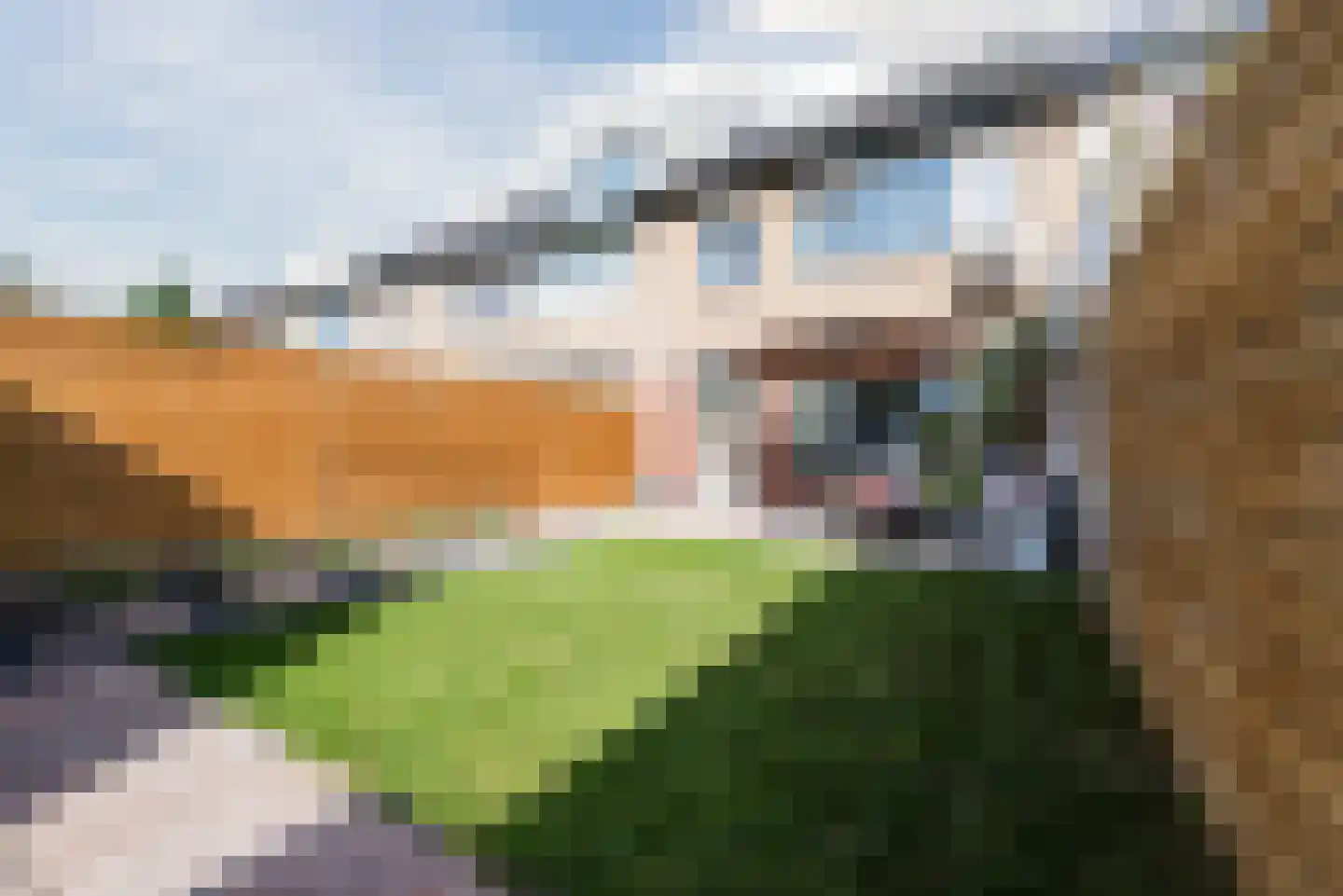 De Roerenmaker 45 Veldhoven thumbnail 39