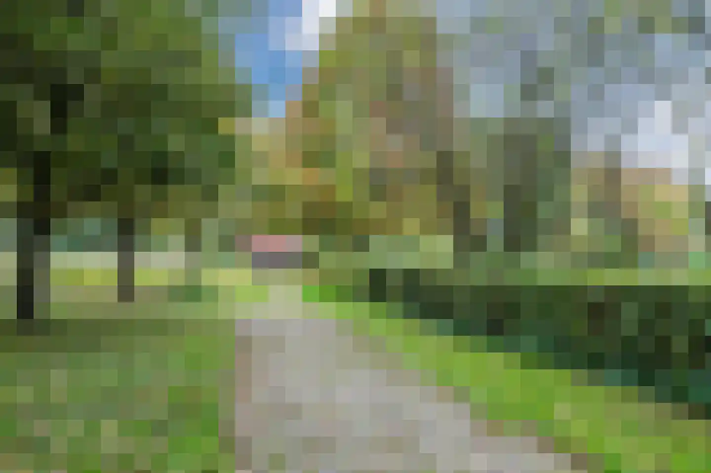 De Roet 3 Bergeijk thumbnail 59