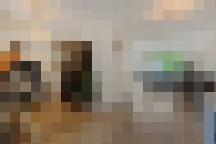 De Rogge 6 Heesch thumbnail 10