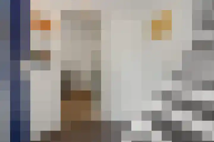 De Rogge 6 Heesch thumbnail 12