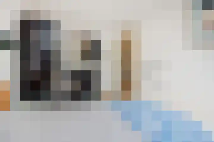 De Rogge 6 Heesch thumbnail 19