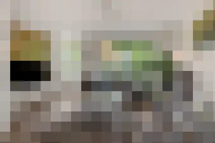 De Rogge 6 Heesch foto 2