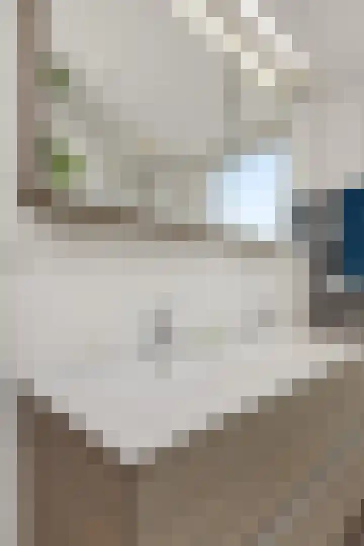 De Rogge 6 Heesch thumbnail 22