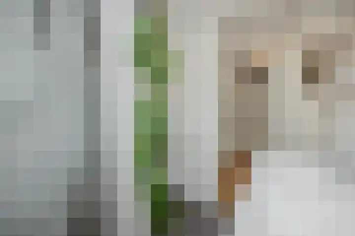 De Rogge 6 Heesch thumbnail 23