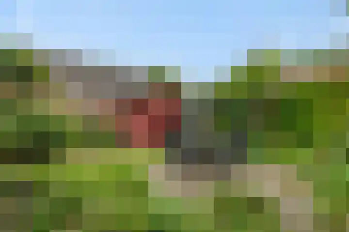 De Rogge 6 Heesch thumbnail 32