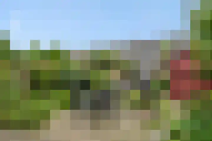 De Rogge 6 Heesch thumbnail 33